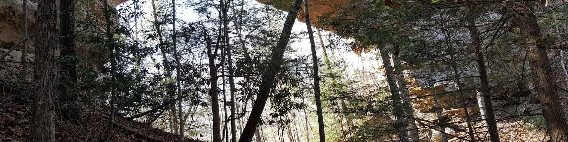 10 Things To Do In Oneida