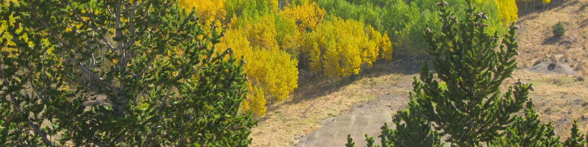 10 Things To Do In Cripple Creek