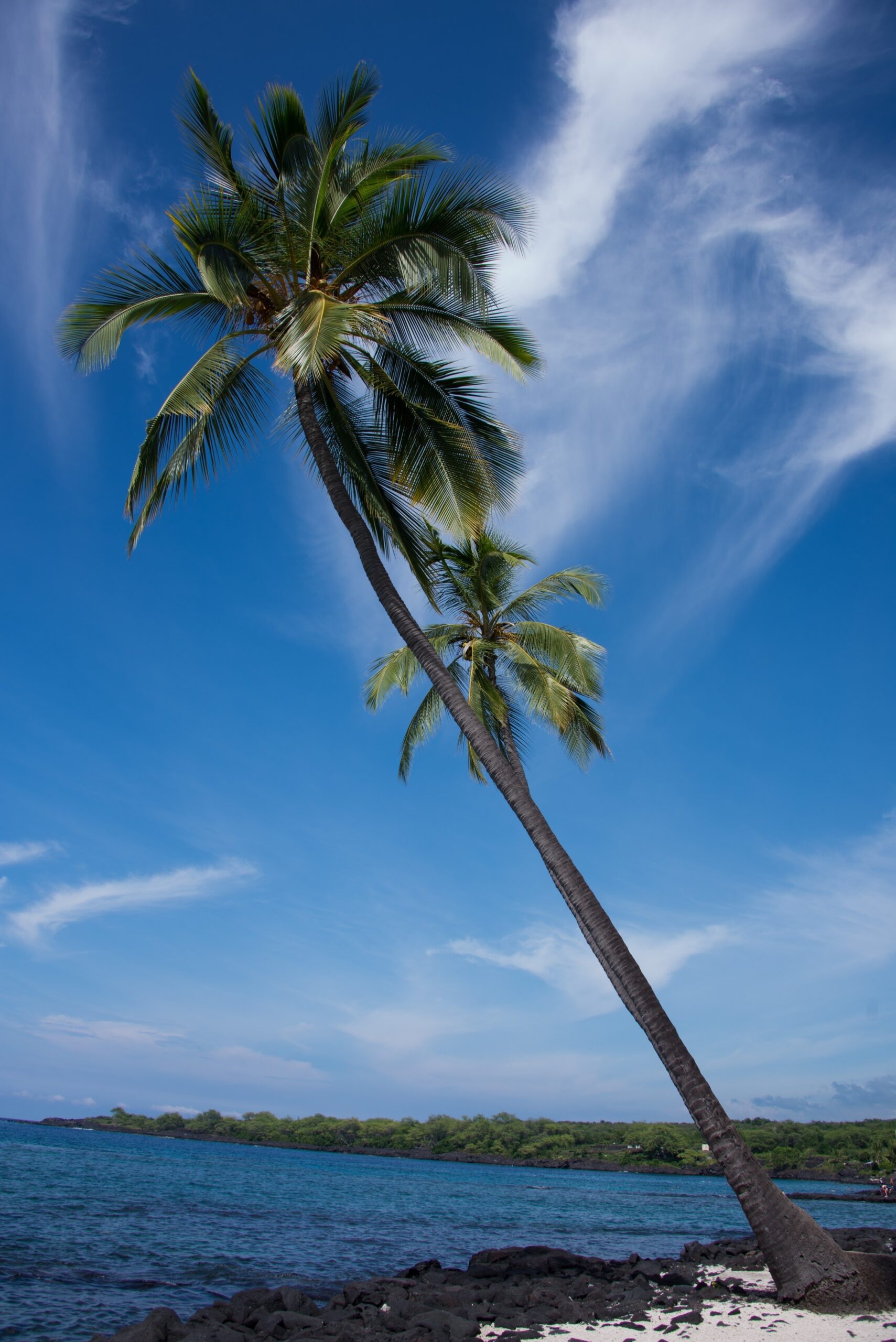 10 Things To Do In Honaunau