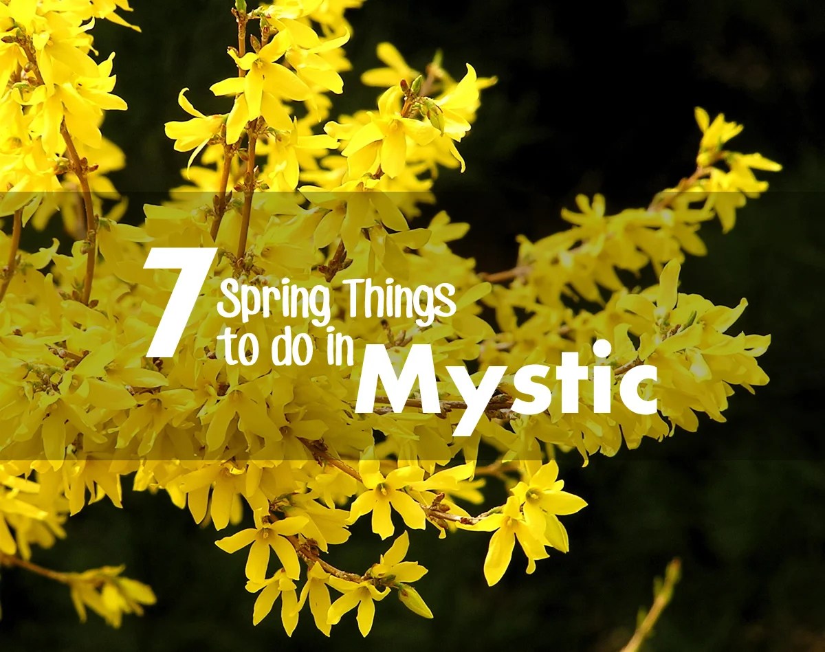 10 Things To Do In Mystic