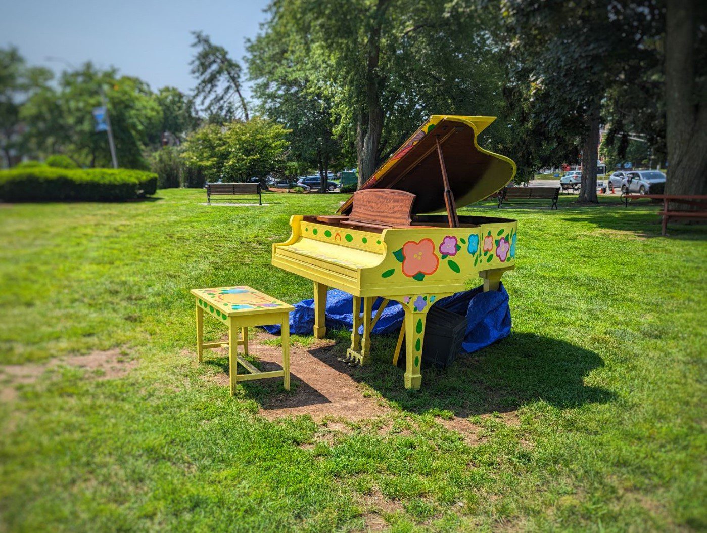10 Things To Do In Newton
