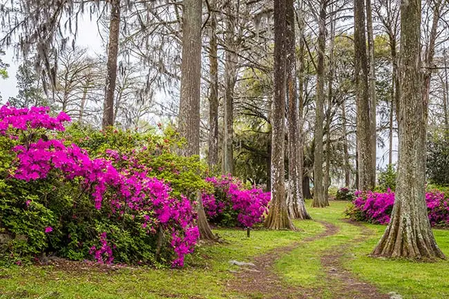 10 Things To Do In Orangeburg