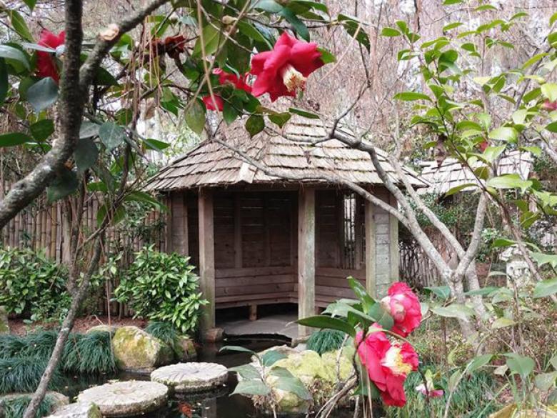 10 Things To Do In Fort Valley