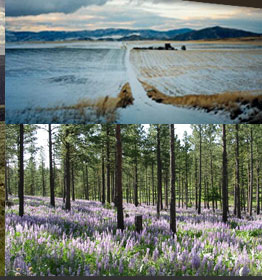 10 Things To Do In Waterville