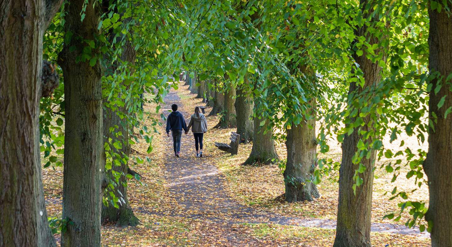 10 Things To Do In Salisbury