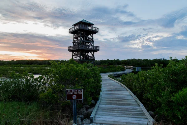 10 Things To Do In Bradenton