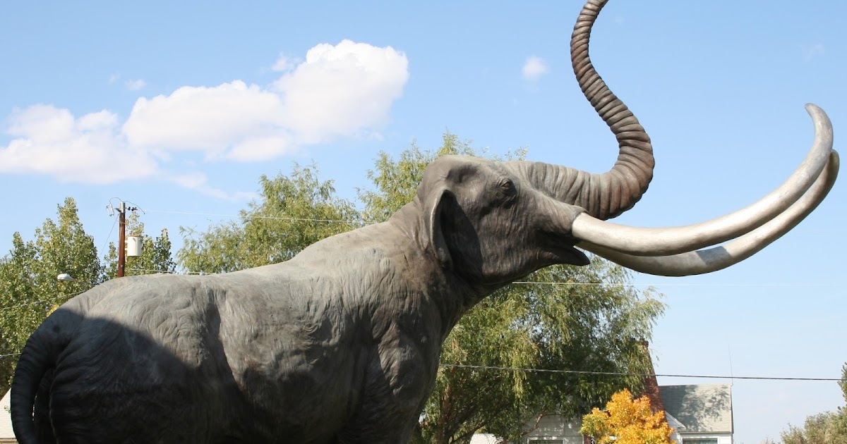 10 Things To Do In Worland