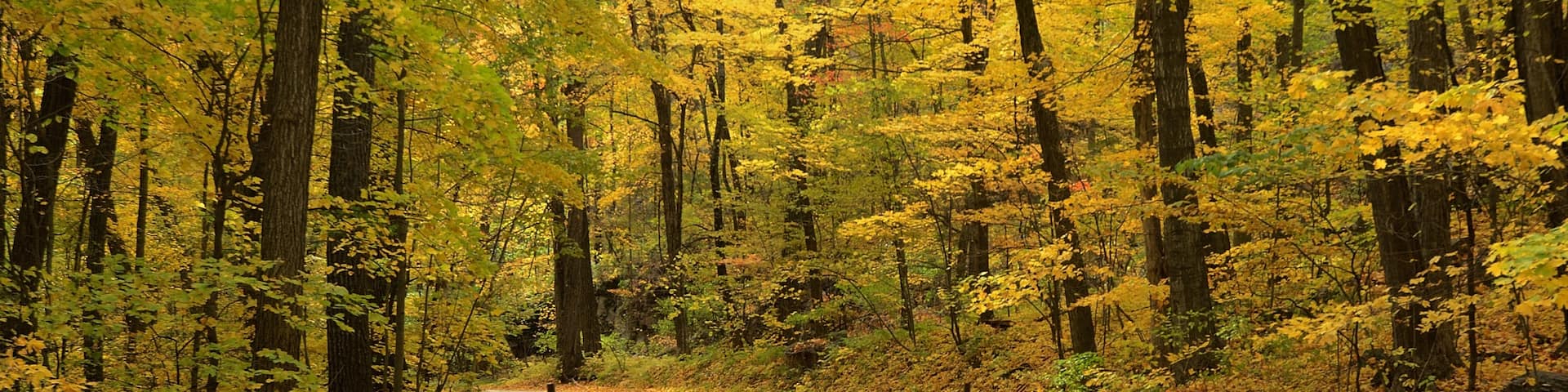 10 Things To Do In Baraboo