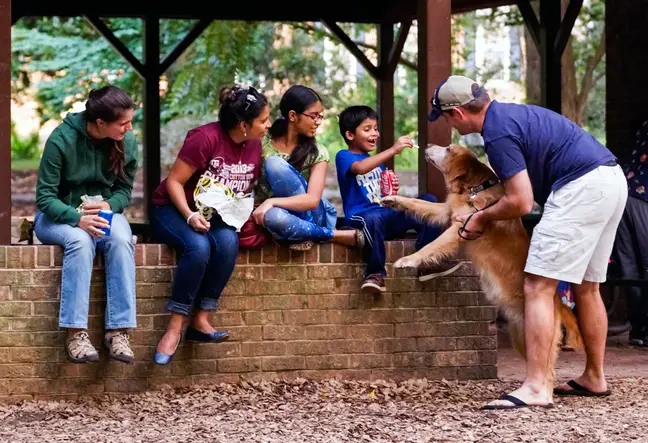10 Things To Do In Falls Church