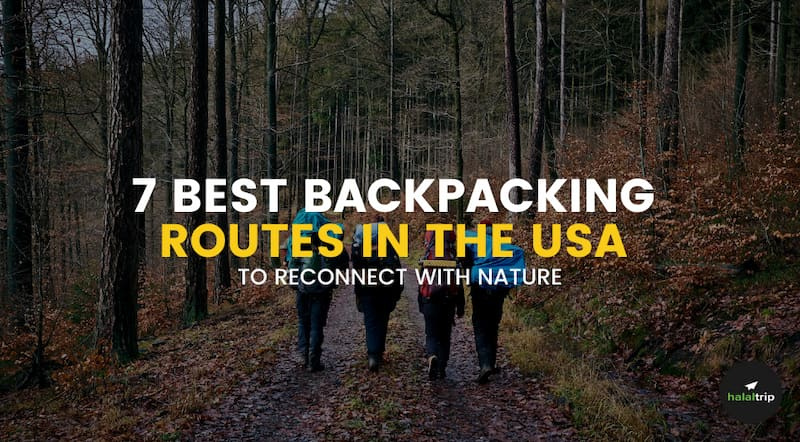 5 Bikepacking Routes in the USA (Cheap Gear)