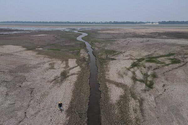 Why Dry Season is a Lie (Amazon Rainforest)