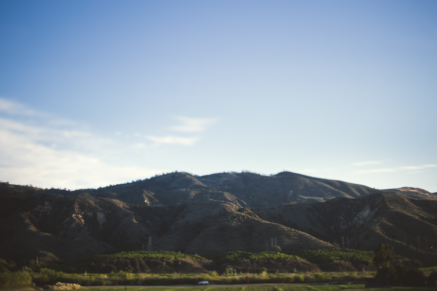 5 Day Trips from Los Angeles (Santa Barbara Joshua Tree)