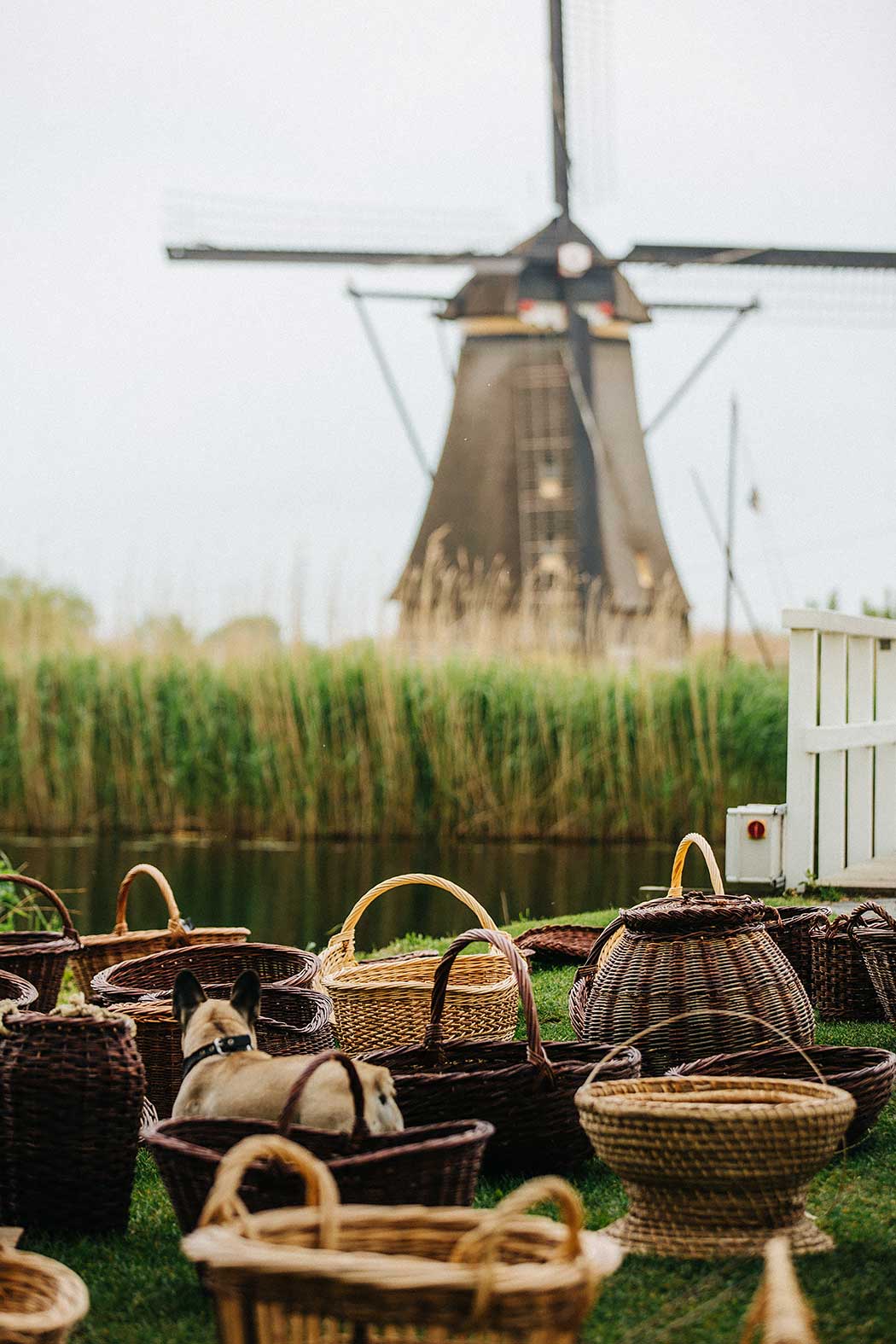 5 Day Trips from Amsterdam (Windmills Castles)