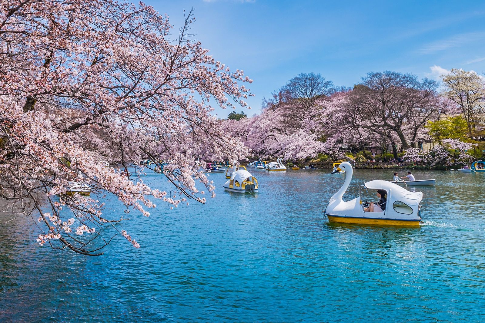 10 Couple’s Activities in Tokyo (Not Just Shopping)