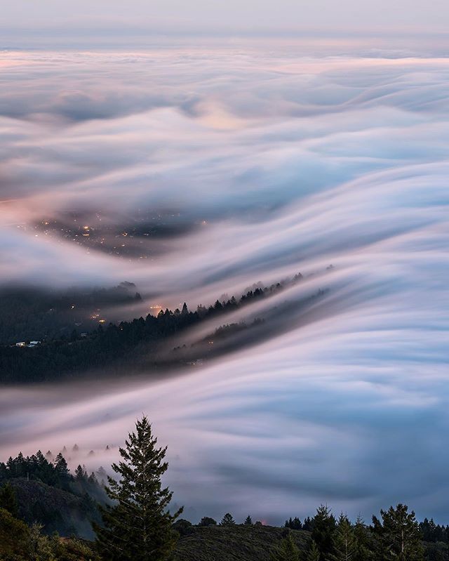 3 Fog Season Cities (San Francisco London)