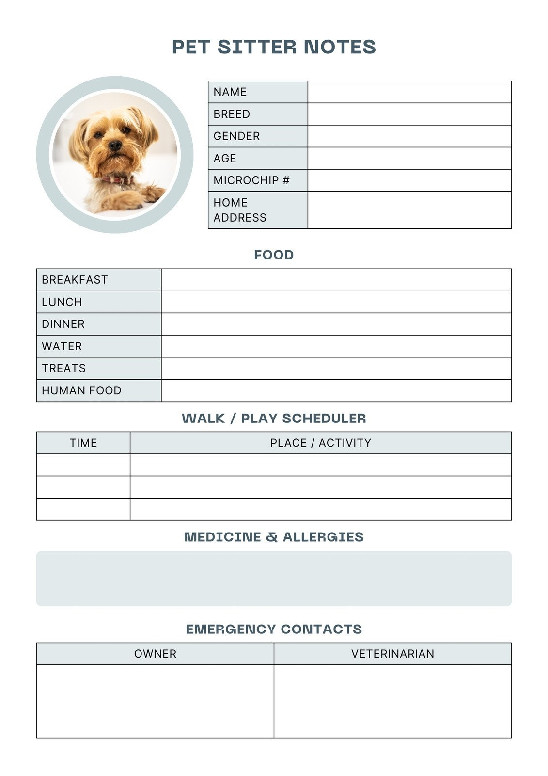 The Pet Sitting Profile that Gets Booked (Template)