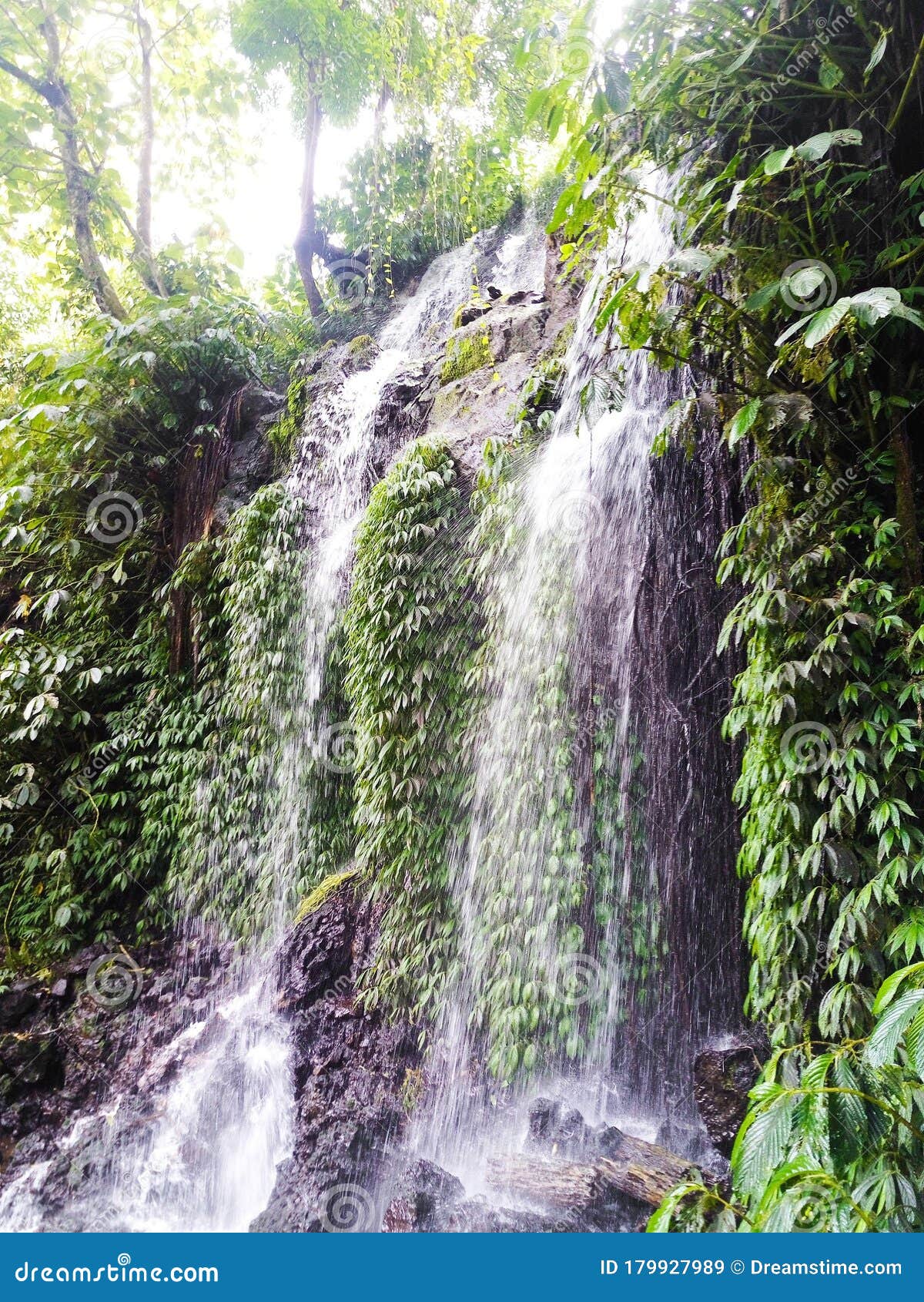 The Hidden Waterfall in Bali (No Tourists)