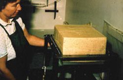 The Cheese Factory Tours in Vermont USA