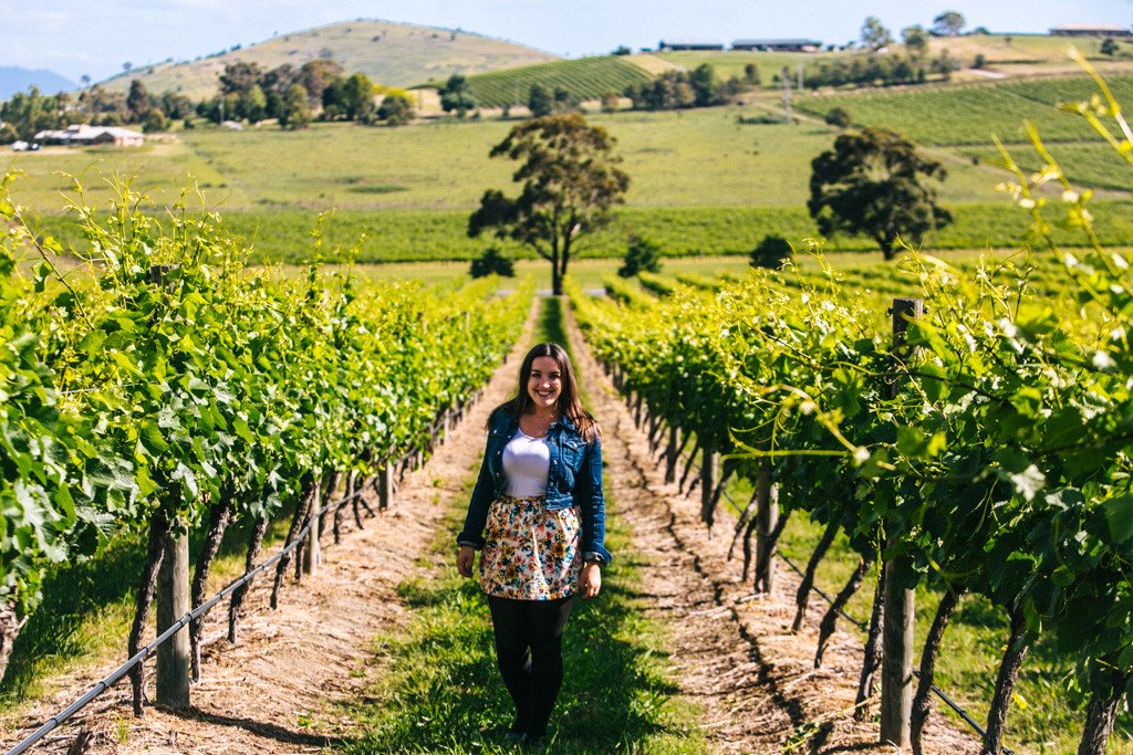 The Wine Day Trip from Melbourne (Yarra Valley)