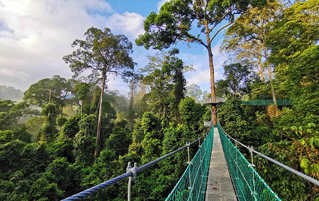 10 Wellness Resorts With Zero-Emissions & Eco-Certifications (Green Stress Relief)