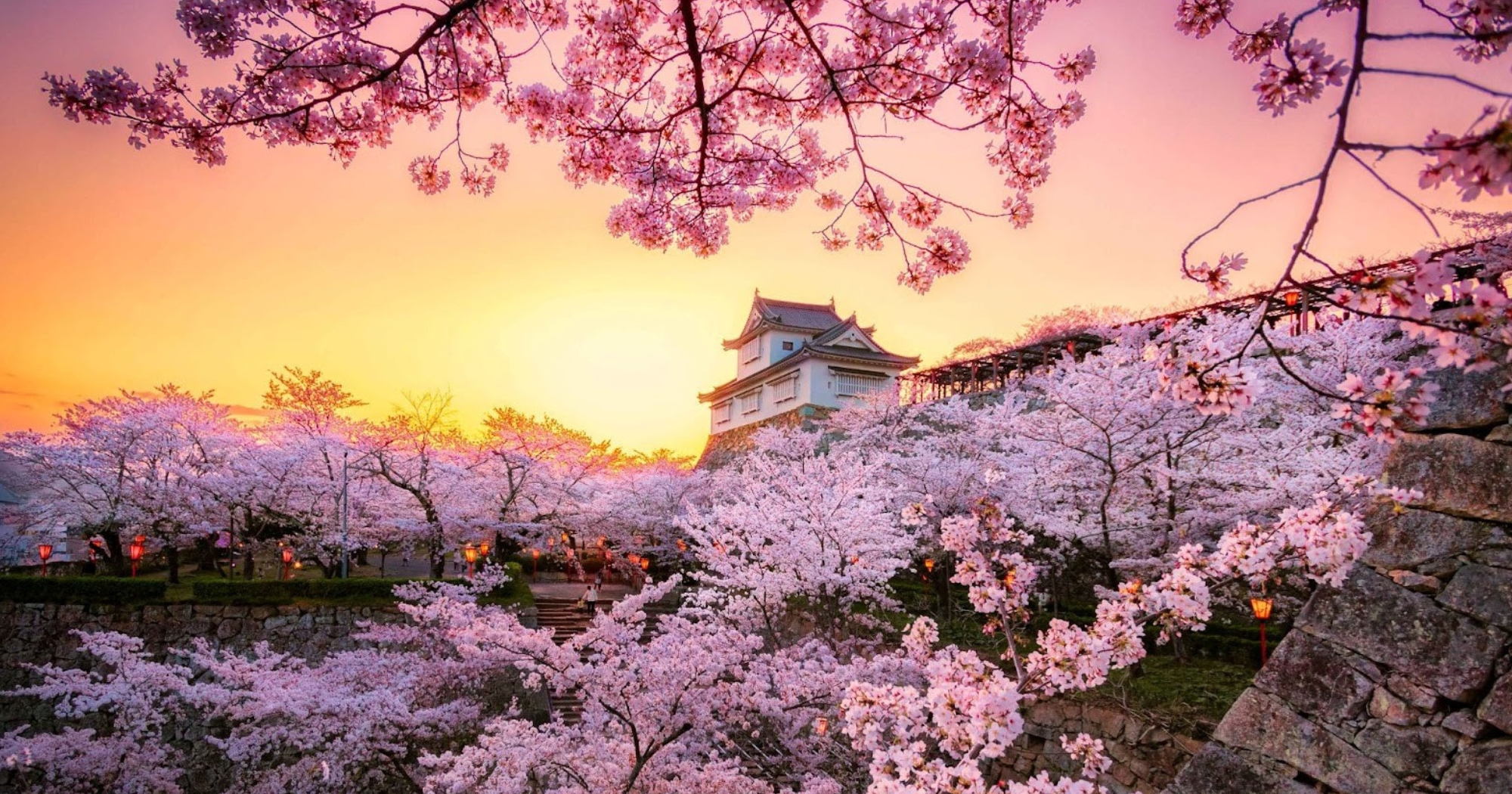 9 Spa and Nature Resorts That Include Meals Yoga & Hikes (All-Inclusive)