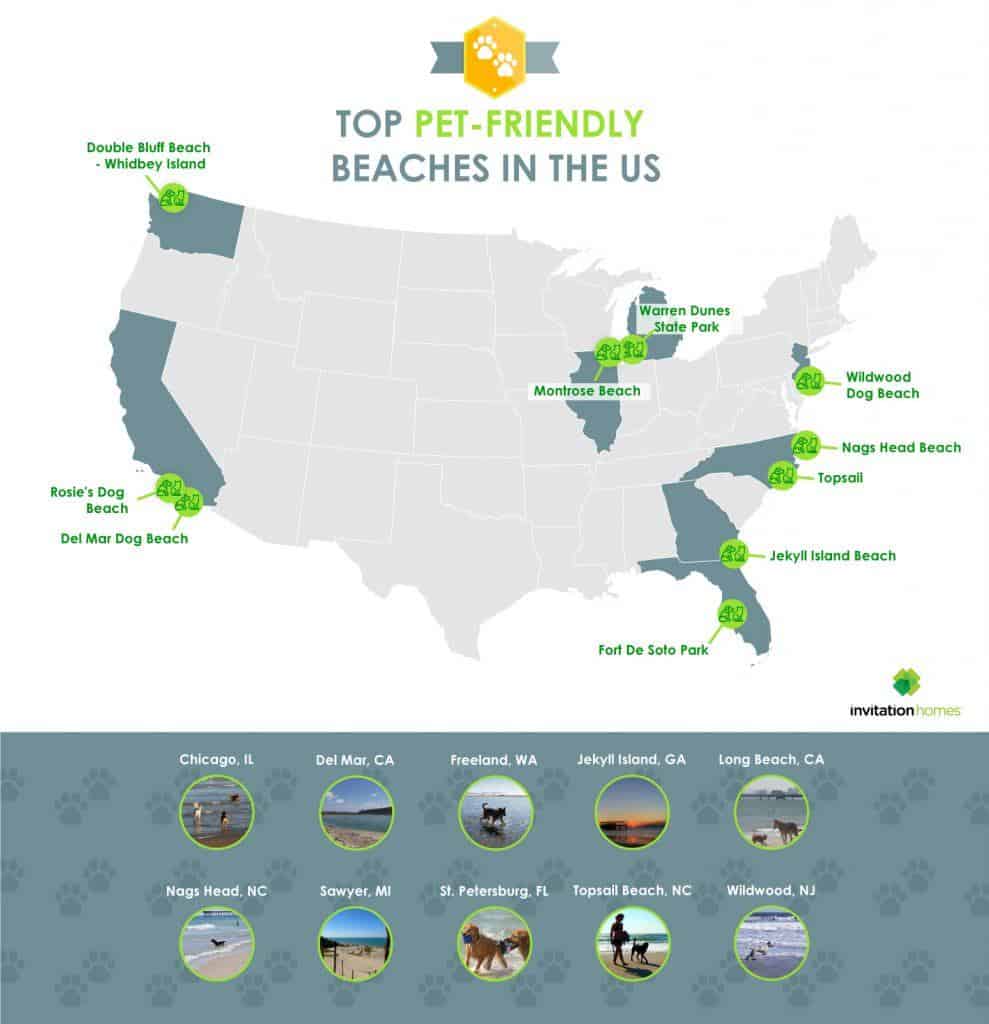 15 Best Beaches for Dogs in the USA (Off-Leash & Year-Round)