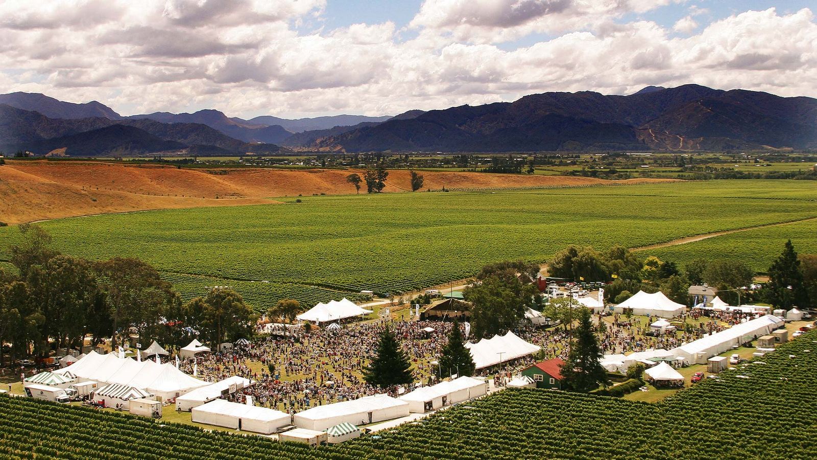 5 Event-Based Vacation Ideas for Foodies (Wine Harvest Truffle Festival BBQ Championship)