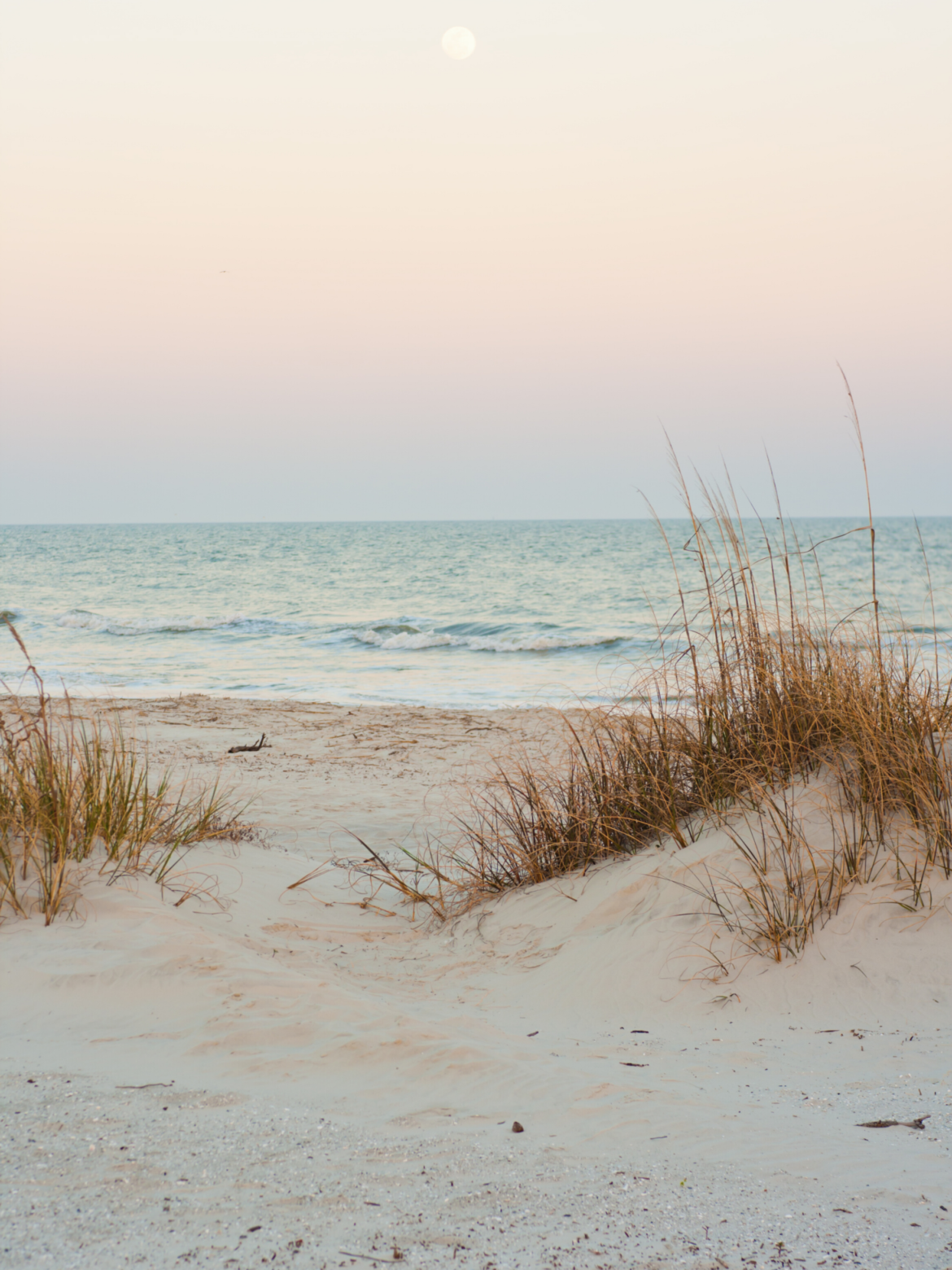9 AI Travel Life Hacks for Digital Nomads