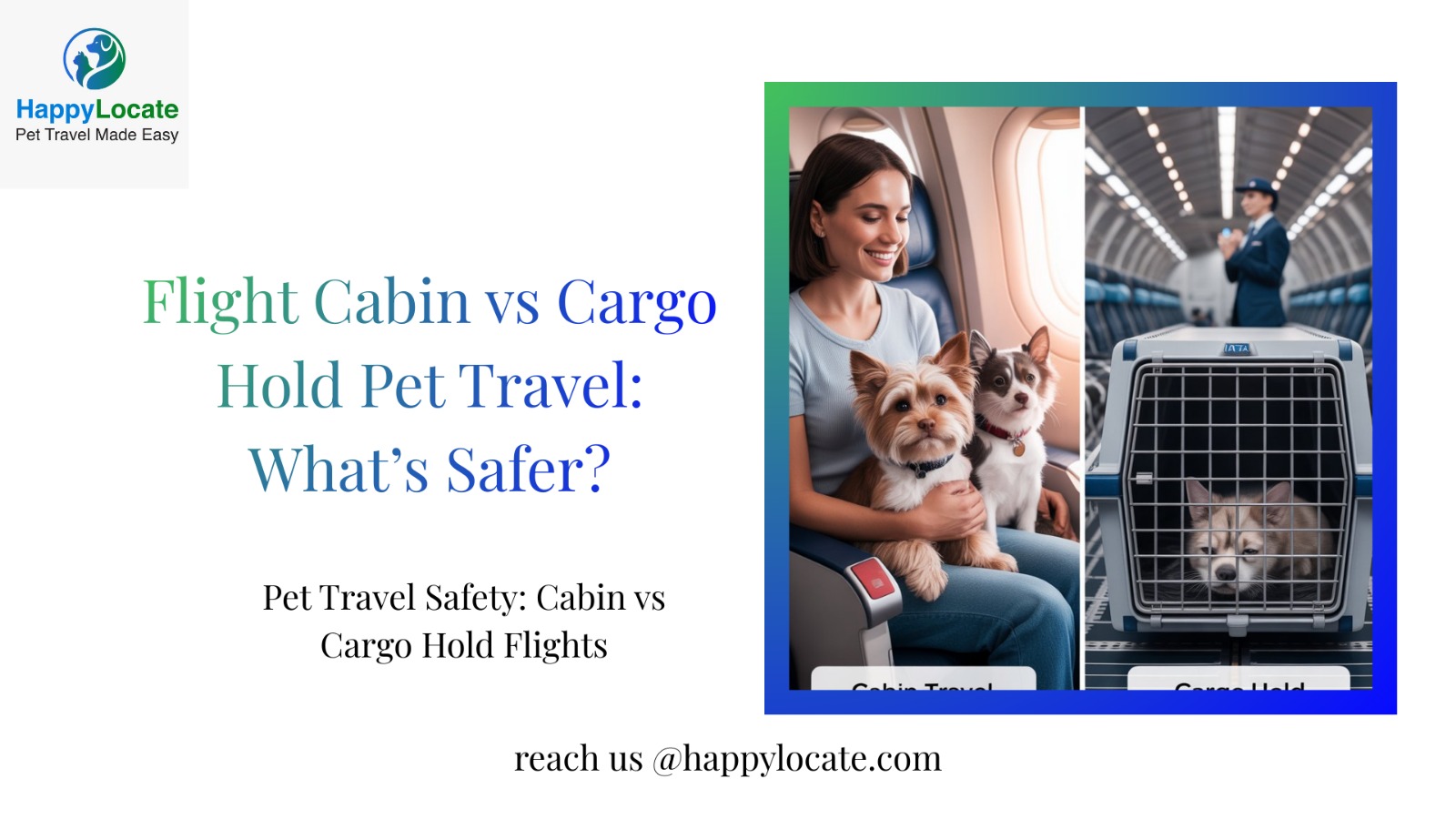 13 International Pet Travel – Airline Cargo vs. Pet Relocation Service