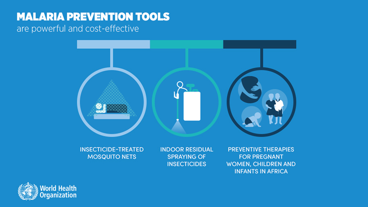 11 Health Precautions for Tropical Travel (Malaria