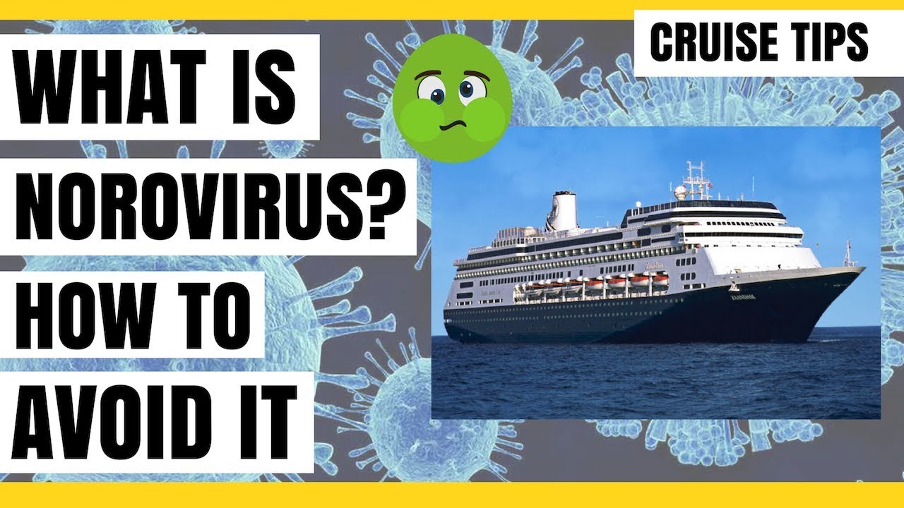 8 Health Precautions for Cruise Ships (Norovirus