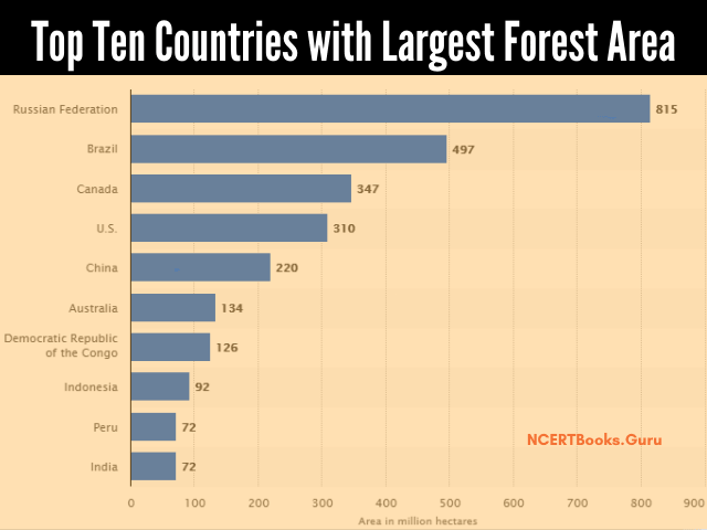 Final List: Top 10 Forest Bathing Destinations Worldwide (2026 Rank)