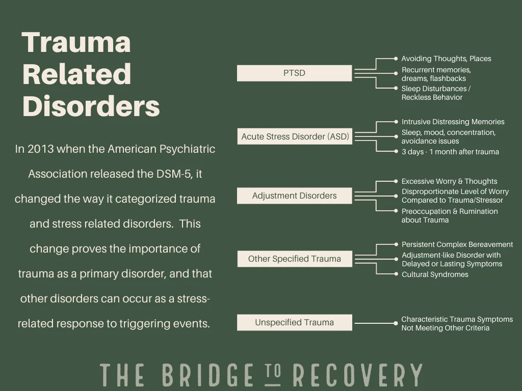 7 Mental Health Retreats for PTSD & Trauma Recovery (Clinically Guided)