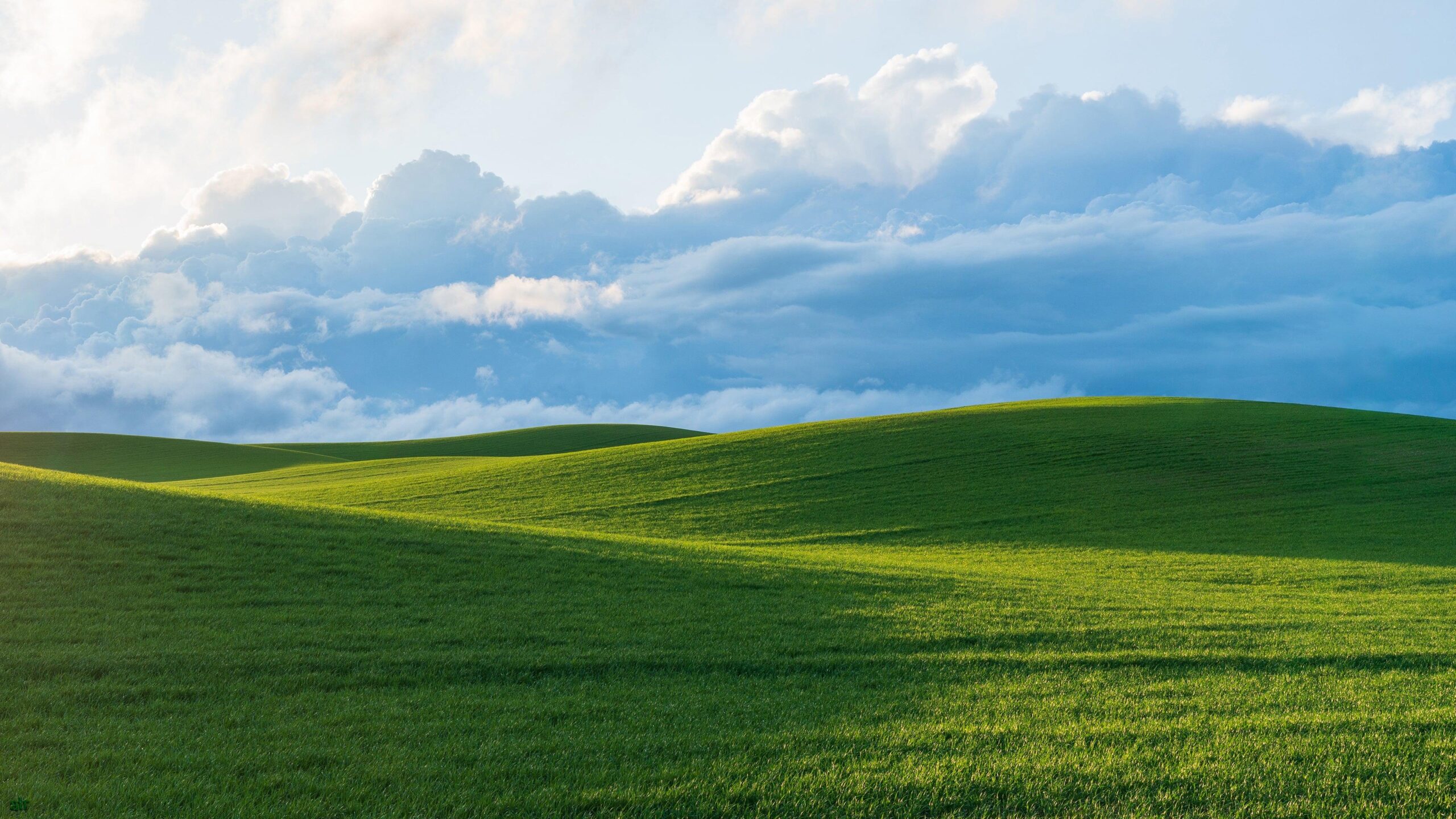 Meditation Spa Memberships: Unlimited Access to Stillness