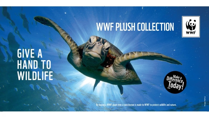 8 Best Wildlife Conservation Organizations You Can Visit (WWF Wildlife SOS The Reef-World)